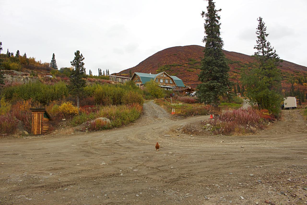 Alpine Creek Lodge Cantwell Εξωτερικό φωτογραφία